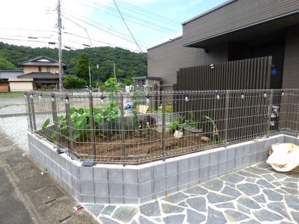 東伊豆 白田分譲地外