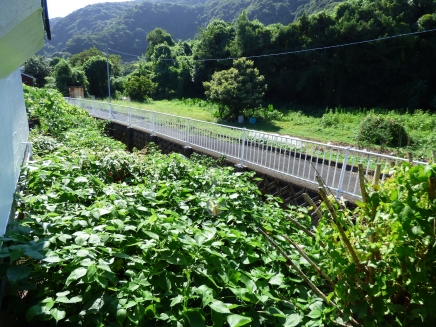 伊豆高原 八幡野分譲地外