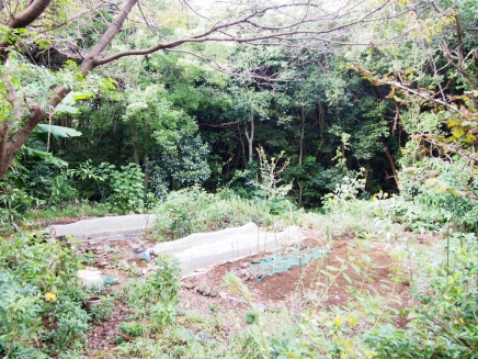 伊豆高原 殖産浮山温泉別荘地
