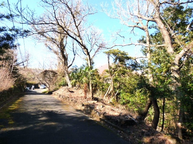 伊豆高原 すいらん荘別荘地