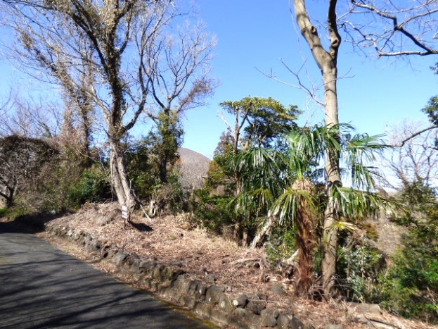 伊豆高原 すいらん荘別荘地