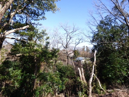 伊豆高原 すいらん荘別荘地