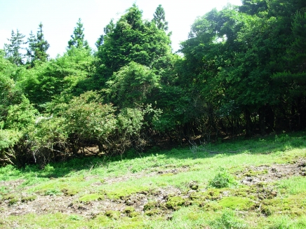 伊豆高原 天城高原別荘地