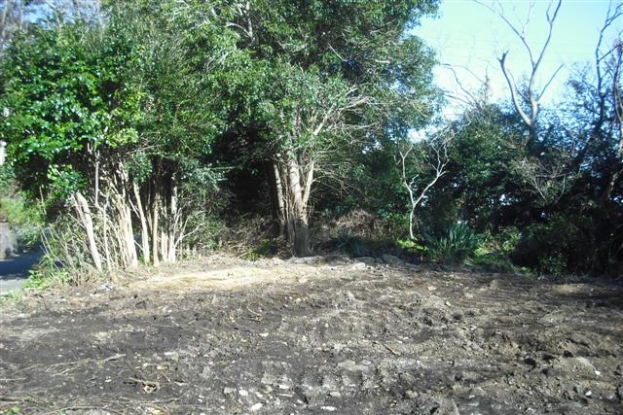 伊豆高原 大室高原別荘地