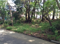 伊豆高原 大室高原別荘地