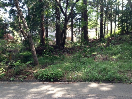 伊豆高原 大室高原別荘地