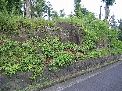 伊豆高原 伊豆急伊豆高原別荘地