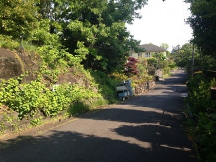 伊豆高原 伊豆急伊豆高原別荘地