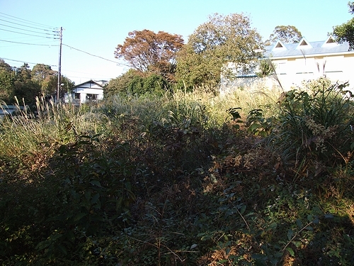 伊豆高原 伊豆急伊豆高原別荘地