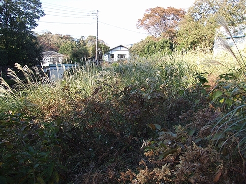 伊豆高原 伊豆急伊豆高原別荘地