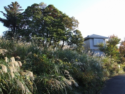 伊豆高原 伊豆急伊豆高原別荘地