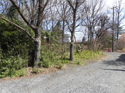 伊豆高原 大室高原別荘地