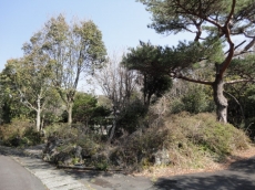 伊豆高原 殖産浮山温泉別荘地